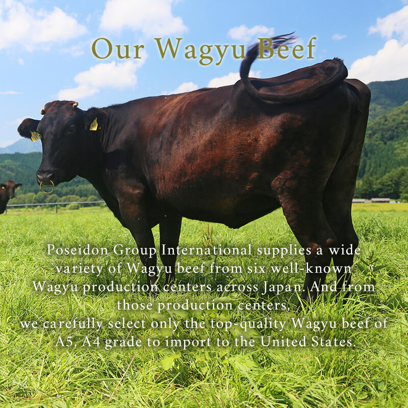 Our Wagyu Beef Poseidon Group International supplies a wide variety 
of Wagyu beef from six well-known Wagyu production centers across Japan. And from those production centers, we carefully select only the top-quality Wagyu beef of A5, A4 grade to import to the United States.